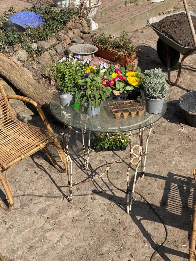 Spurensucher Quartier Usedom Town Luaran gambar